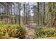 Scenic backyard view with lush greenery and dense trees, offering privacy and a natural setting at 424 Cannonball Ct, Stockbridge, GA 30281