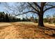 Community tennis courts surrounded by trees offer a great amenity for active residents at 5230 Harris Springs Dr, Cumming, GA 30040