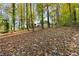 Leaf-covered backyard with tall trees, offering a glimpse of the house in a private setting at 2740 Pasco Se Ln, Atlanta, GA 30316