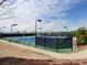 Well-maintained tennis courts surrounded by greenery and a black chain link fence at 801 Rutledge Ct, Woodstock, GA 30188