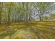 Expansive backyard, framed by mature trees, offers privacy at 3430 Pate Rd, Snellville, GA 30078