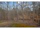 View of the tree-filled, wooded backyard with green grass, dirt and a pipe at 1514 Log Cabin Ln, Lawrenceville, GA 30045