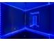 Rec Room featuring blue led lights lining the walls and ceiling with a dance pole at 4046 Harvest Ridge Dr, Douglasville, GA 30135