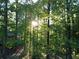 View of the yard and home through the trees at 3870 Wyntuck Nw Ct, Kennesaw, GA 30152