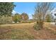 Overgrown backyard with trees and shrubs, and a glimpse of a house at 6219 Heardsville Rd, Cumming, GA 30028