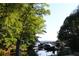 Looking across the lake at boats docked under a lush tree canopy at 4040 Merritt Dr, Cumming, GA 30041