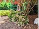 Lush garden featuring blooming azaleas and a charming treehouse at 4160 Tilly Mill Rd, Atlanta, GA 30360