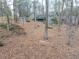 View of the home's backyard with beautiful landscaping and deck at 1980 Two Springs Way, Lawrenceville, GA 30043