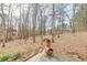 Secluded backyard with a charming chiminea ready for outdoor gatherings at 1980 Two Springs Way, Lawrenceville, GA 30043