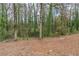 View of tree-filled backyard with foliage on the tall trees at 1492 Cobb Branch Dr, Decatur, GA 30032
