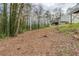View of tree-filled backyard; offering privacy and seclusion at 1492 Cobb Branch Dr, Decatur, GA 30032