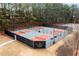 New community pickleball courts with black fencing and shade trees. Plenty of space for an active game at 118 Fairway Overlook Dr, Acworth, GA 30101