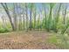 Expansive backyard with mature trees, offering a private and serene outdoor retreat for nature lovers at 2419 Edgewater Sw Dr, Atlanta, GA 30311