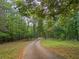 Scenic private driveway winding through a lush forest setting at 6791 Yacht Club Dr, Acworth, GA 30102