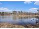 Lake view from property, showcasing serene waters, lush trees, and a picturesque natural landscape at 190 The Falls Blvd, Covington, GA 30016