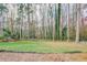 Large, grassy backyard bordered by mature trees, offers a private outdoor space at 3265 Newcastle Way, Snellville, GA 30039