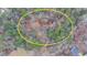 Aerial view of the large lot and mature trees surrounding the home at 6000 E Andechs Smt, Johns Creek, GA 30097