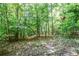 Backyard with mature trees and wood fence at 5730 Paces Pl, Suwanee, GA 30024