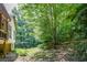 Side yard with treeline, lush lawn and the house at 5730 Paces Pl, Suwanee, GA 30024