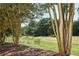 Scenic view of the lush golf course featuring well-manicured greens, mature trees, and natural beauty at 5730 Paces Pl, Suwanee, GA 30024