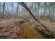 A peaceful stream flows through a wooded area, with fallen trees and natural foliage visible at 613 Rock Springs Pass, Dallas, GA 30157