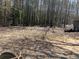 A large yard with trees and a shed at 8090 Colquitt St, Douglasville, GA 30134