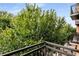 Balcony view of lush green trees and blue skies at 201 W Ponce De Leon Ave # 315, Decatur, GA 30030