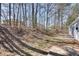Backyard with large trees, showing the edge of the house and backyard patio area at 2216 Marbut Farms Trce, Lithonia, GA 30058