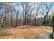 Outdoor shot of a large backyard with grass and a tree line at 5960 Camelia Dr, Douglasville, GA 30135