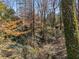 A view of a heavily wooded backyard, with trees and other greenery, showcasing a natural setting at 3200 Wood Valley Nw Rd, Atlanta, GA 30327
