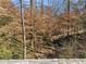 A view of the backyard, with mature trees, a small stream and lush greenery at 3200 Wood Valley Nw Rd, Atlanta, GA 30327