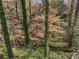 Heavily wooded backyard with mature trees covered in vines at 3200 Wood Valley Nw Rd, Atlanta, GA 30327