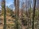 Heavily wooded backyard with mature trees at 3200 Wood Valley Nw Rd, Atlanta, GA 30327