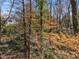 Distant home view through mature trees in wooded area at 3200 Wood Valley Nw Rd, Atlanta, GA 30327