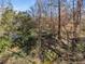 Private lot with wooded area, mature trees, and abundant greenery at 3200 Wood Valley Nw Rd, Atlanta, GA 30327