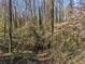 Private backyard featuring mature trees and wooded area at 3200 Wood Valley Nw Rd, Atlanta, GA 30327