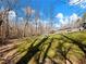 Picture of a sprawling backyard, featuring mature trees, a lush lawn, and open space at 6734 Pass Road, Buford, GA 30518