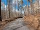 Scenic road leading to the property surrounded by lush, mature trees at 6734 Pass Road, Buford, GA 30518