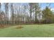 Spacious backyard featuring new grass and a wooded backdrop, perfect for outdoor activities and privacy at 3204 Birdsong Ave, Covington, GA 30016