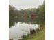 Scenic pond view surrounded by lush greenery and blooming trees on a peaceful day at 4622 Dogwood Rd, Pine Lake, GA 30083