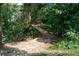 Neighborhood wooden walking bridge over a small ravine surrounded by lush greenery at 4015 Sierra Vista Cir, Cumming, GA 30028