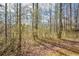 View of the wooded backyard at 581 Victorian Cir, Dallas, GA 30157