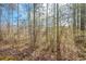 View of the backyard with some mature trees and a fence at 581 Victorian Cir, Dallas, GA 30157