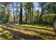 Image of the expansive and verdant backyard, lined with a mix of green foliage and mature trees at 1270 Graymont Sw Dr, Atlanta, GA 30310