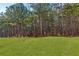 Expansive backyard featuring lush green grass and wooded area at 5620 Berney Cir, Powder Springs, GA 30127