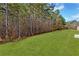 Large grassy backyard featuring a line of trees as a natural fence and a picturesque setting at 5620 Berney Cir, Powder Springs, GA 30127