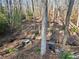 View of a creek and wooded area, featuring a stone table and chair, and a small wooden bridge at 1405 Roper Rd, Canton, GA 30115
