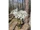 White azalea bush in full bloom adds natural beauty to the property at 1405 Roper Rd, Canton, GA 30115