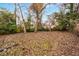 Spacious backyard with mature trees and natural ground cover at 2026 Swazey Dr, Decatur, GA 30032