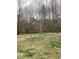 Wide backyard with grass and bare trees at 1630 Stonehaven, Cumming, GA 30040